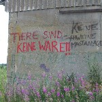 Widerstand gegen die in Alt Tellin (Kreis Demmin) geplante groesste Schweineaufzuchtanlage Europas